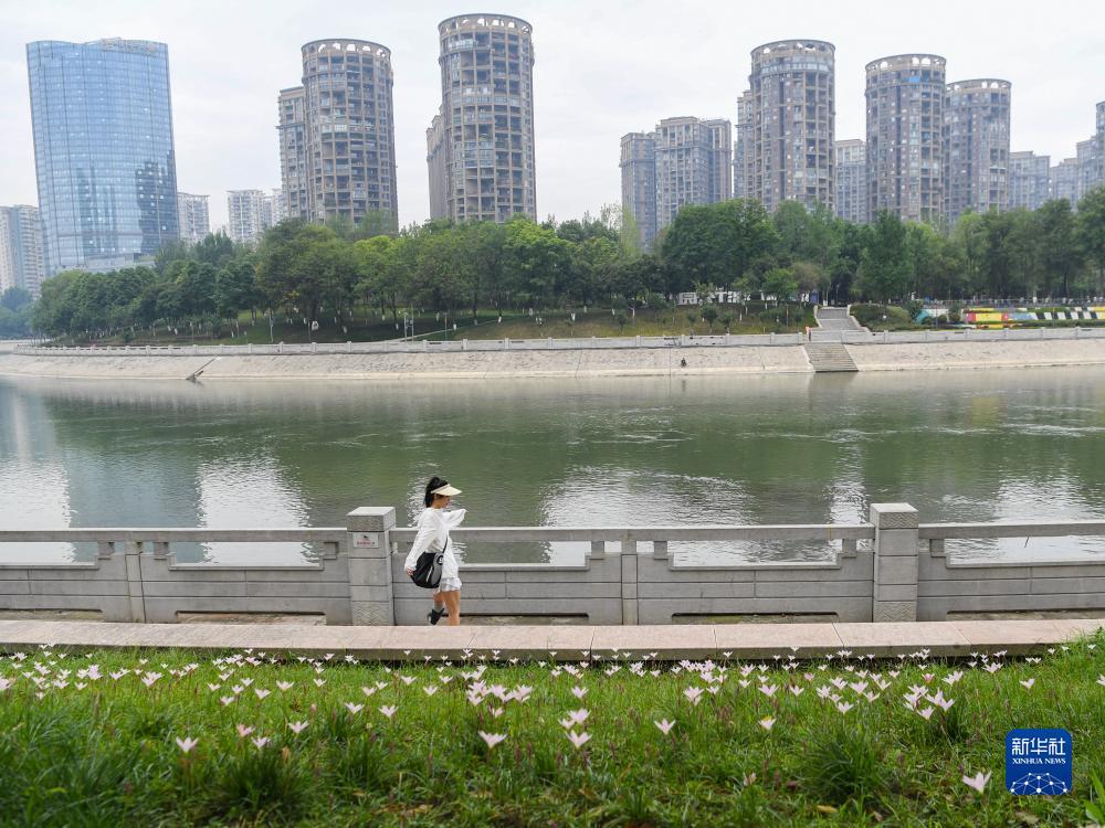 进一退二倍投怎么退